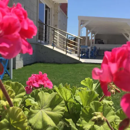 Allegria Butik Cesme