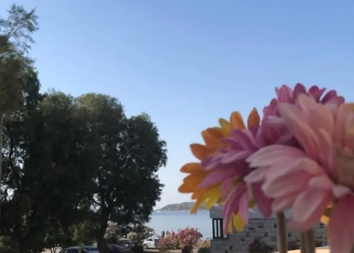 酒店 Allegria Butik Çeşme