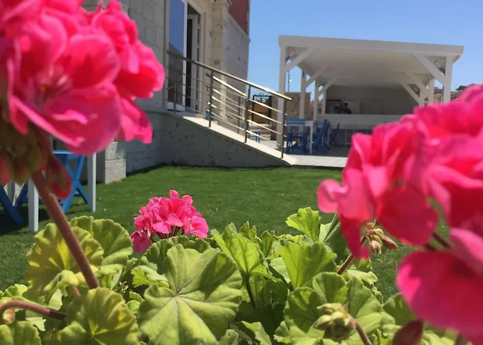 Allegria Butik Çeşme