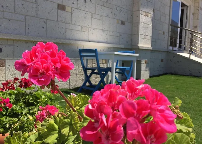 호텔 Allegria Butik 2*